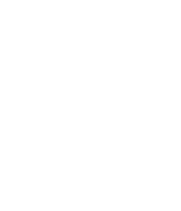 UDAE